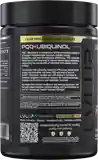 Pqqu 0005