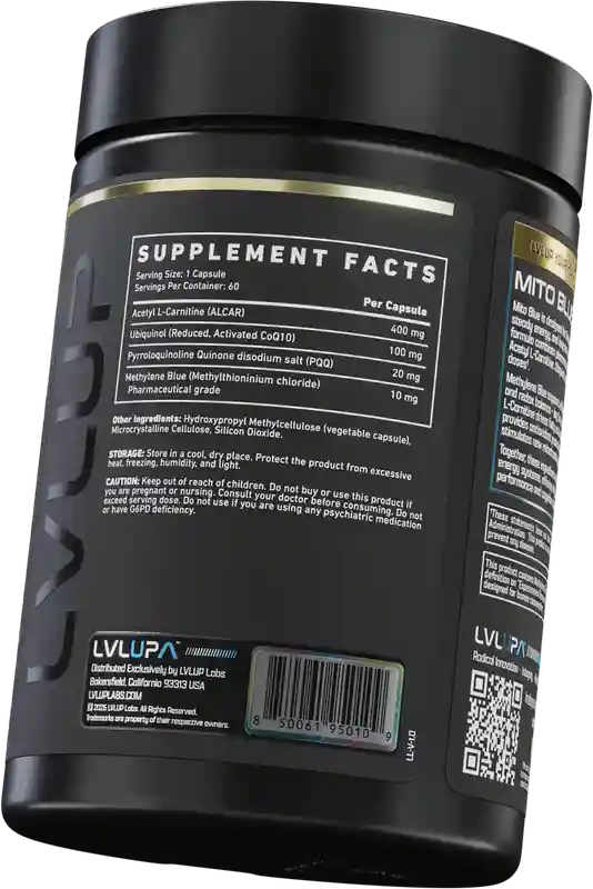 l carnitine gbb GBB Ingredient Profile